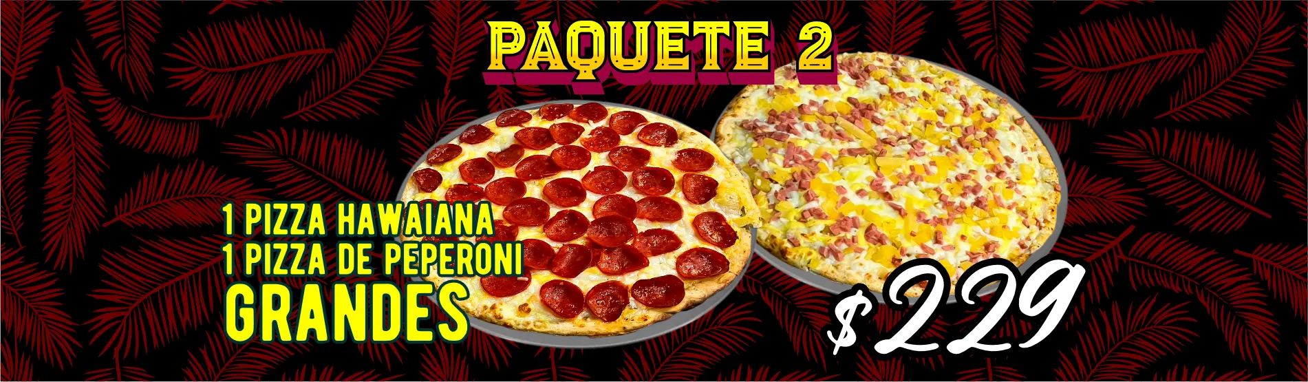 paquete 2